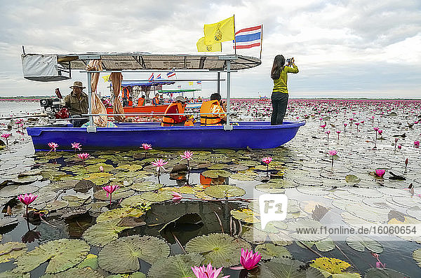Touristen am Roten Lotus Meer; Thailand