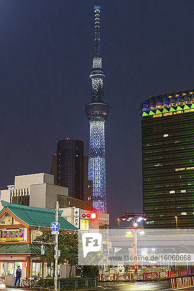Night view of the Tokyo Skytree; Tokyo  Kanto  Japan