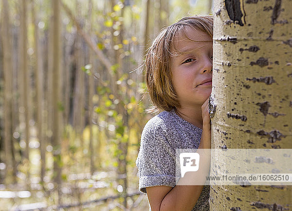 Porträt eines 4-jährigen Jungen  der sich hinter einem Espenbaum versteckt