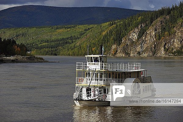 Klondike Spirit Fähre  Raddampfer über den Yukon Fluss nach Dawson City  Dawson City  Yukon Territory  Kanada  Nordamerika
