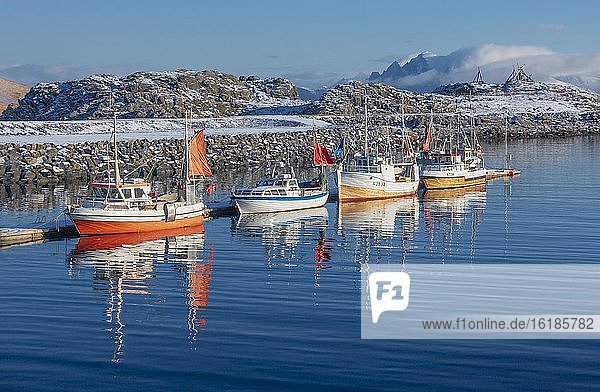 Fischerboote am Steg  Vesteralen  Straume i Bø  Nordland  Norwegen  Europa