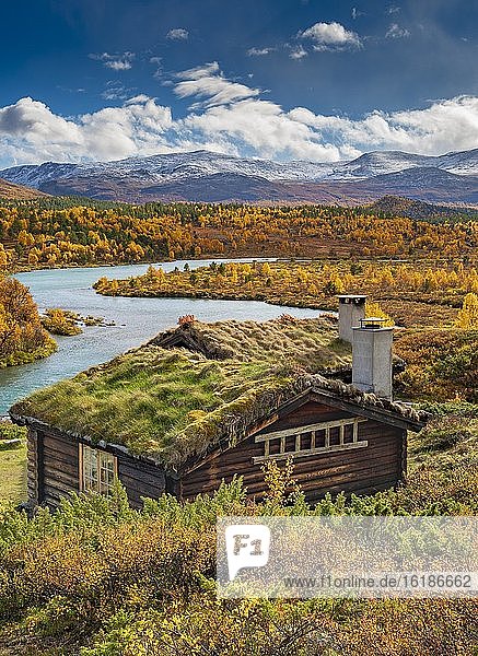 Wooden cabin  wide landscape  turquoise river  colorful vegetation and discolored trees in autumn  Ruska Aika  Indian Summer  Indian Summer  Indian Summer  Tessand  Innlandet  Norway  Europe