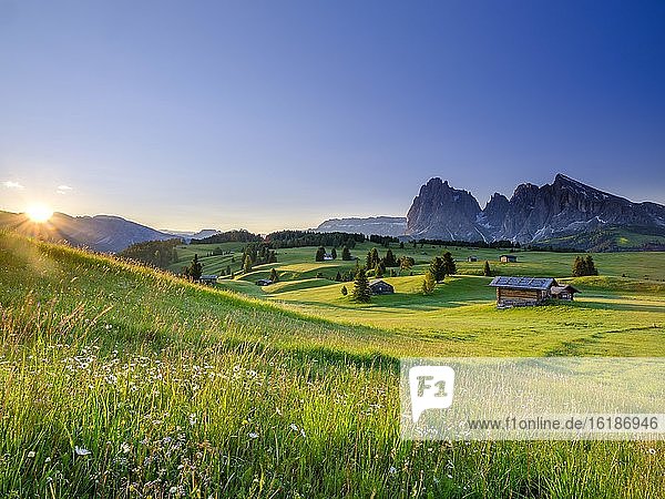 Seiseralm  Langkofel  Plattkofel  bei Sonnenaufgang  Südtirol  Dolomiten  Italien  Europa