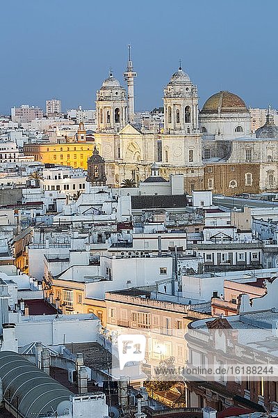 Blue hour over the old town of Cadiz  Spain  Europe
