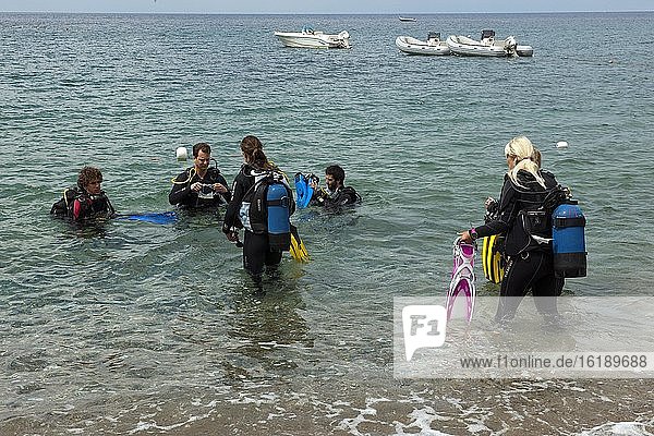 Taucher gehen ins Wasser  Morcone  Capoliveri  Elba  Toskana  Italien  Europa