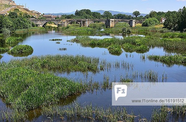 Ciudad Rodrigo  alte Brücke über den Agueda-Fluss. Provinz Salamanca  Kastilien und Leon  Spanien.