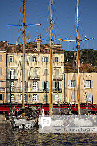 Yachts moored up on waterfront  St Tropez  South of France