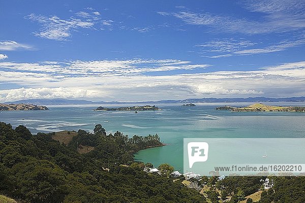 Blick auf die Küste  Waiheke Island  Auckland  Neuseeland