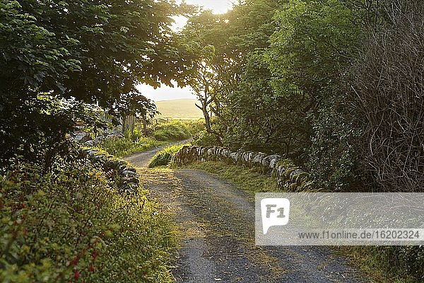 Ländliche Straße  Clifden  Connemara  Irland
