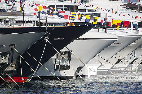 Nahaufnahme einer Reihe von Luxusjachten  die im Port Hercule  Monte Carlo  Monaco  vor Anker liegen