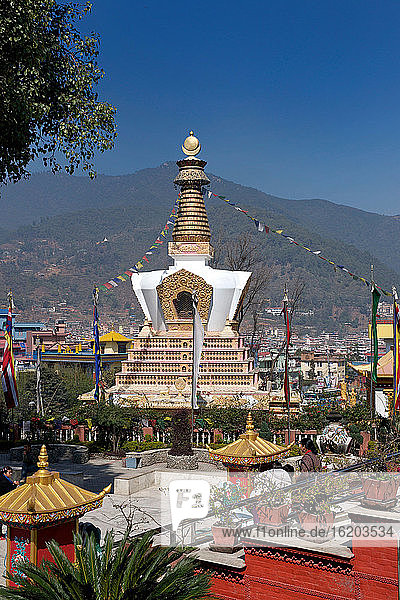 Stupa  Buddha Park  Kathmandu  Nepal