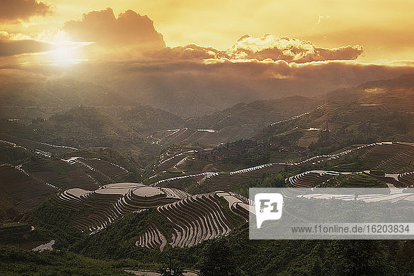 Terrassenfelder  Longsheng  Provinz Guangxi  China