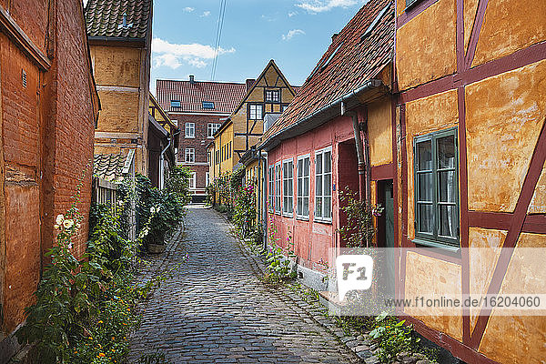 Historische Häuser in einer Kopfsteinpflasterstraße in Helsingor  Seeland  Dänemark