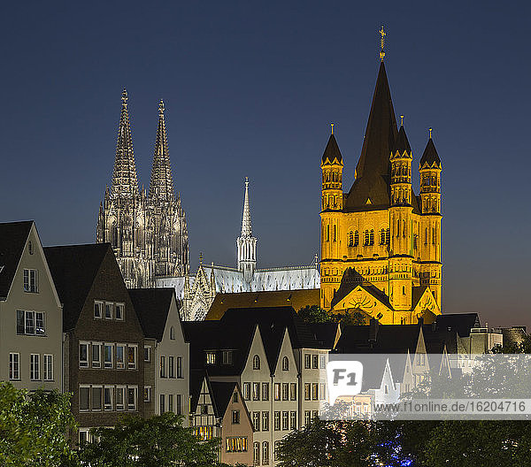 Stadtbild mit Großer Martinskirche und Kölner Dom bei Nacht  Köln  Deutschland