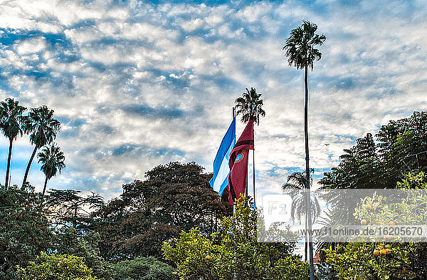 Flags of Argentina and Salta