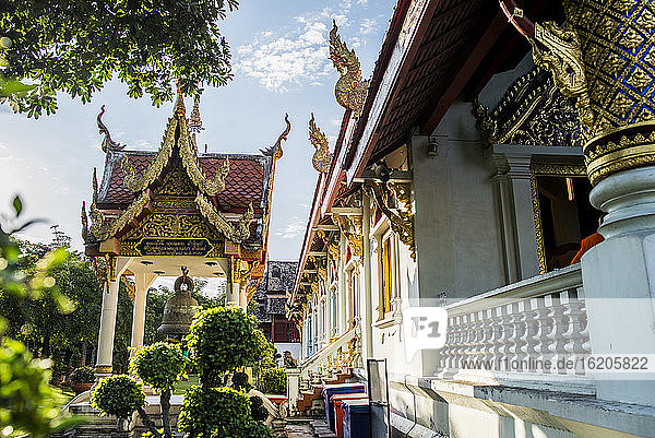 Tempelgarten und Außenbereich des Wat Phra Singh  Chiang Mai  Thailand