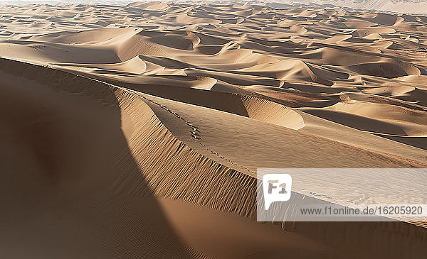 Sand dunes in the Empty Quarter Desert, between Saudi Arabia and Abu Dhabi, UAE
