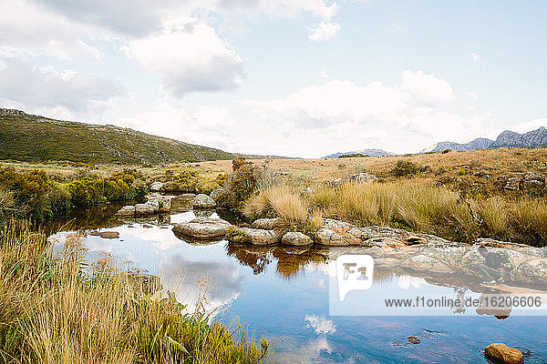 View of river and marsh grass in Andringitra National Park, Madagascar, Africa