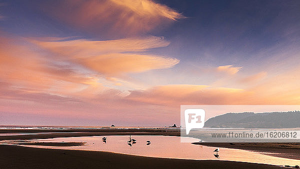Silhouettierte Ansicht des Strandes und rosa Sonnenuntergang  Cannon Beach  Oregon  USA