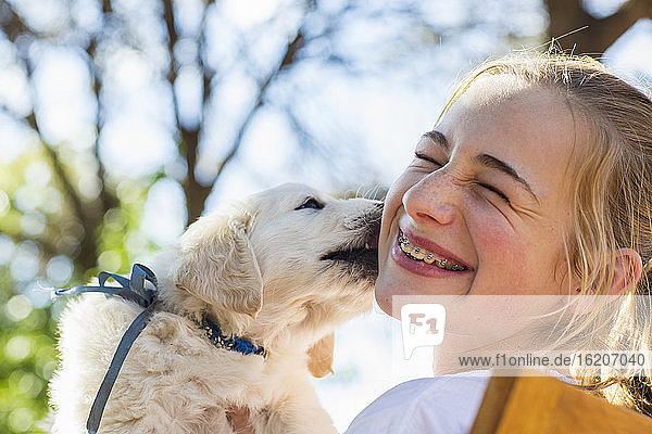 A English golden retriever puppy licking the cheek of a teenage girl.