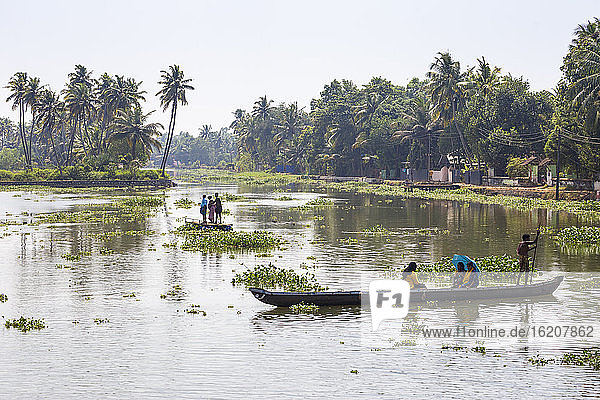 Menschen überqueren Fluss in ausgegrabenem Kanu  Backwaters  Kollam  Kerala  Indien  Asien