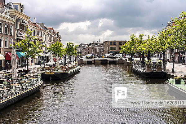 Nieuwe Rijn (New Rhine) canal with Karnemelksbrug bridge  cafes and shops in the heart of Leiden  South Holland  The Netherlands  Europe
