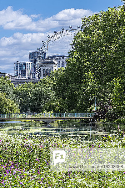 Frühlingsblumen im königlichen Park mit dem London Eye und Gebäuden in Whitehall  St. James's Park  Westminster  London  England  Vereinigtes Königreich  Europa
