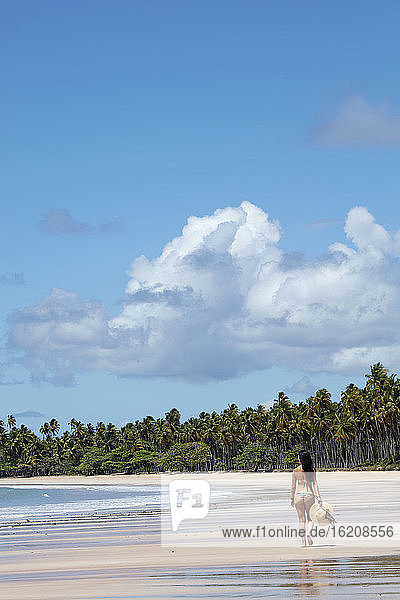 Eine schöne  sportliche hispanische (lateinamerikanische) Frau im Bikini mit Sonnenhut an einem verlassenen tropischen Strand mit dem Rücken zur Kamera  Brasilien  Südamerika