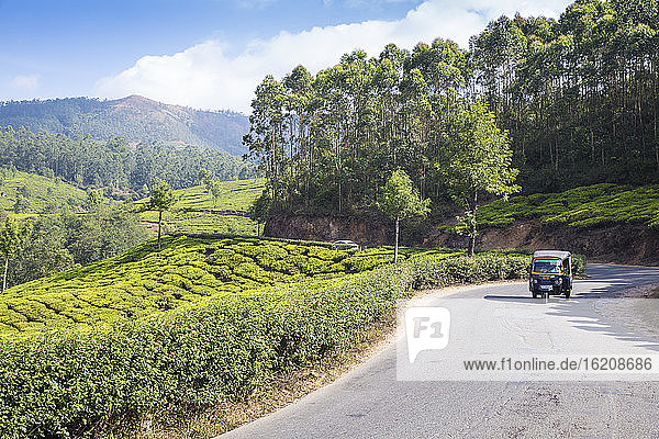 Auto-Rikscha auf der Straße am Tea Estate vorbei  Munnar  Kerala  Indien  Asien