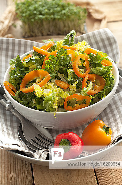 Grüner Salat mit Paprika in einer Schüssel  Nahaufnahme