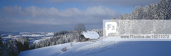 Deutschland  Baden-Württemberg  Schwarzwald  Breitnau  Schneelandschaft