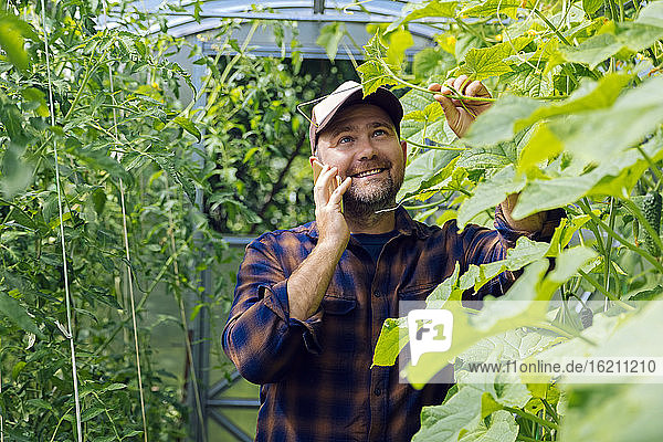Porträt eines lächelnden Landwirts beim Telefonieren in einem Gewächshaus