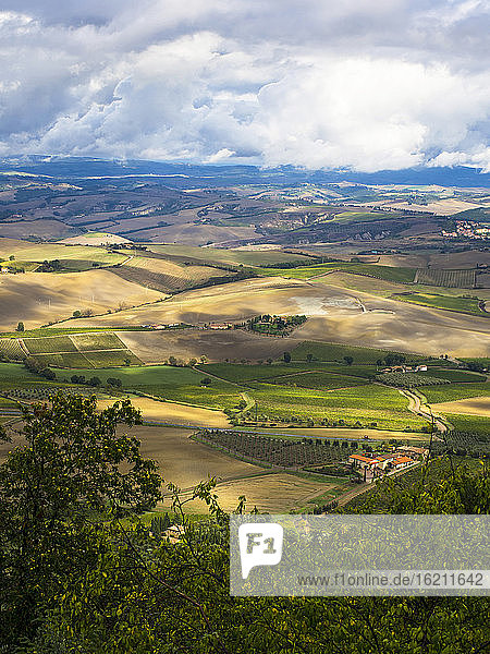 Italien  Blick auf die Toskana von Montalcino aus