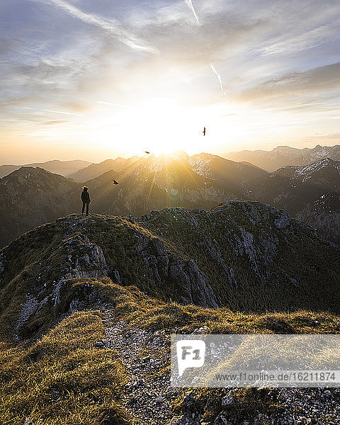 Wanderin auf einem Aussichtspunkt bei Sonnenuntergang  Saeuling  Bayern  Deutschland