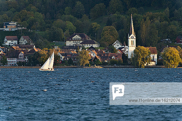 Schweiz  Berlingen  Blick auf Segelboot im Bodensee mit Dorf