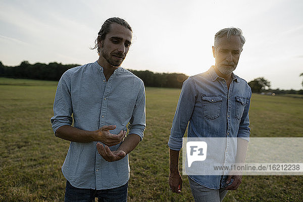 Father and adult son on a meadow in the countryside at sunset