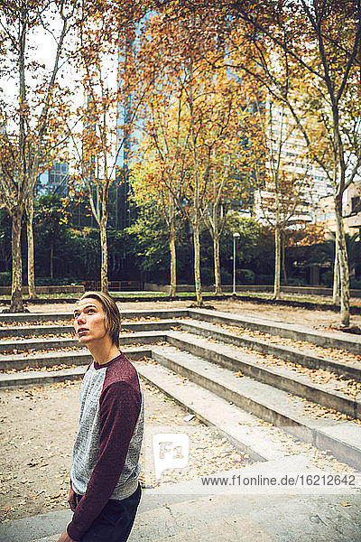 Young man looking up while standing in park during autumn
