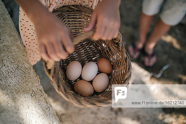 Mädchen hält Korb mit Eiern in Hühnerfarm