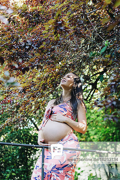 Lächelnde schwangere Frau schaut nach oben  während sie unter einem Baum im Park steht