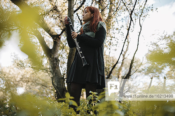 Redhead female musician with clarinet standing against bare trees in forest
