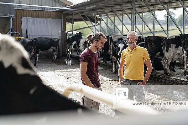 Lächelnder reifer Bauer mit erwachsenem Sohn im Kuhstall auf einem Bauernhof