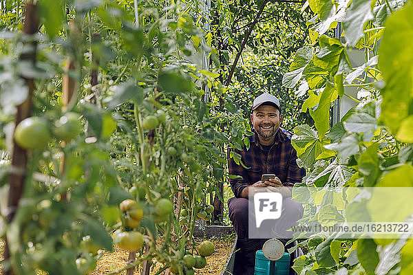 Porträt eines lächelnden Landwirts mit Mobiltelefon und Gießkanne im Gewächshaus mit Tomatenpflanzen