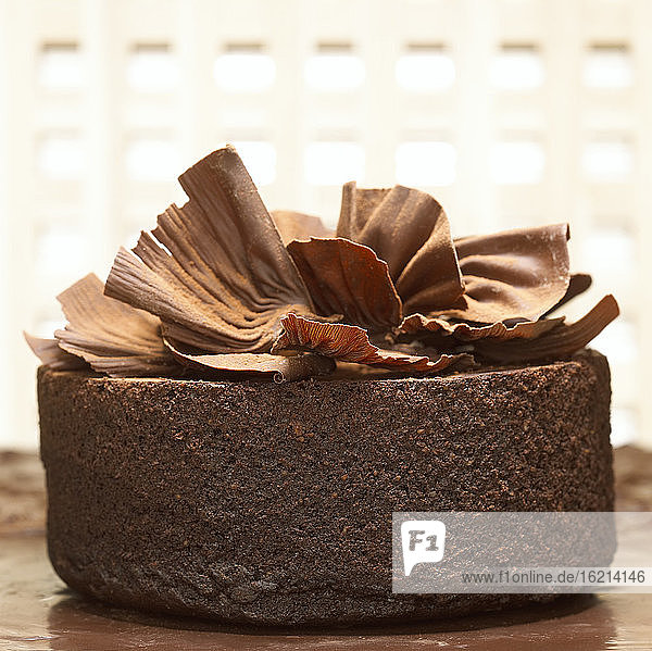 Chocolate cake, close-up