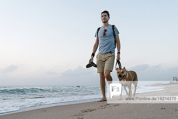 Mann geht mit seinem Hund am Strand spazieren