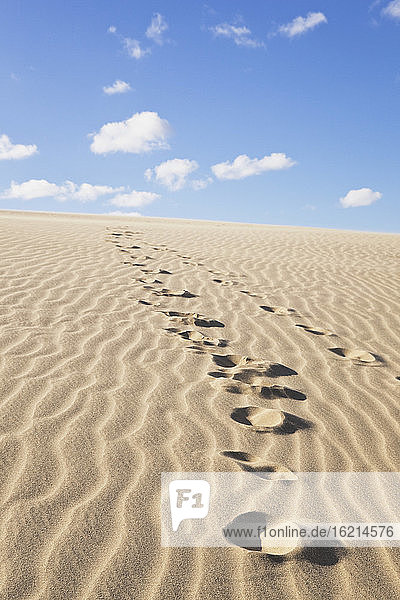 New Zealand  Footprints on Te Paki Sand Dunes