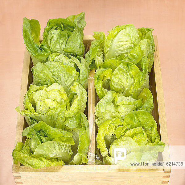Romana lettuce in wooden box  close-up