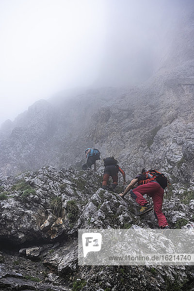 Mature men climbing on mountain during foggy weather  Bergamasque Alps  Italy