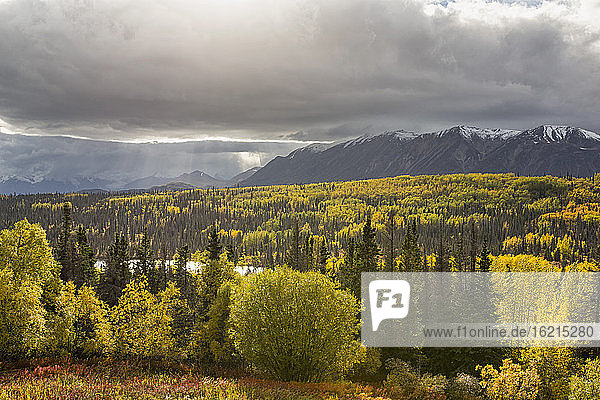 Kanada  Yukon-Territorium  Blick auf die Landschaft