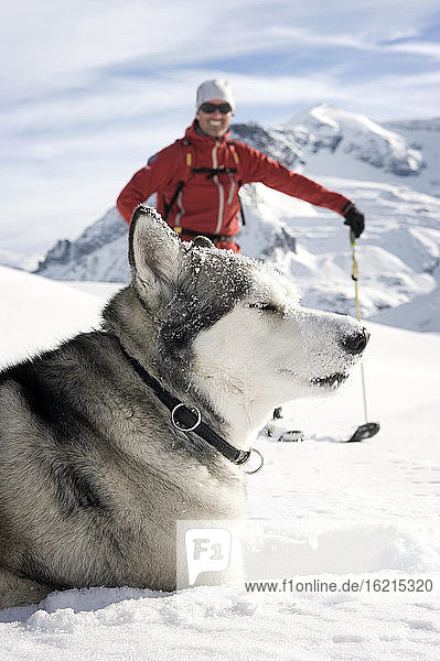 Austria  Man skiing with Avalanche Dog in snow