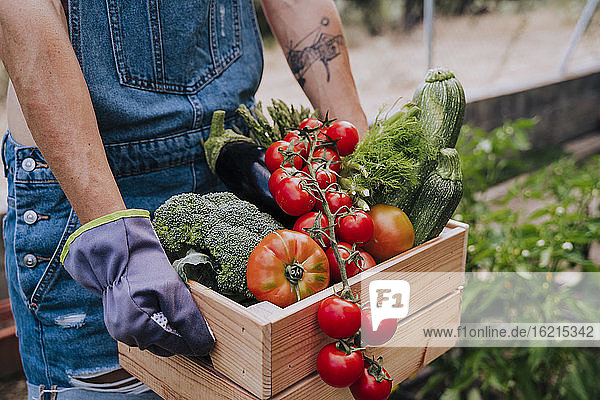 Nahaufnahme einer Frau  die eine Holzkiste mit verschiedenen Gemüsesorten hält  während sie im Gemeinschaftsgarten steht